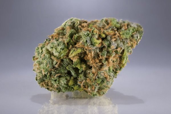 We got high quality exotic white widow flavor at very good ticket