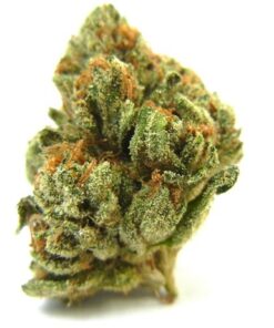 we got the most exotic skywalker og strain, with very extreme THC values, and they are very much needed for lot of medical benefits