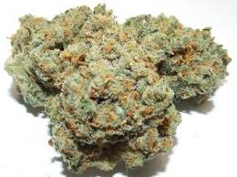 Exotic watermelon zkittles strain available for sale at very good ticket