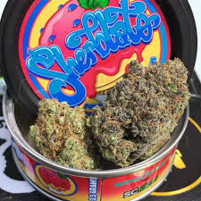 buy exotic sherblato strain in California, at amazing tickets, shipping is done to all states