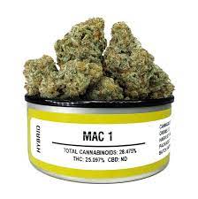 buy high grade mac 1 strain online we ship out worldwide